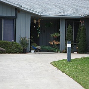 Picture 010